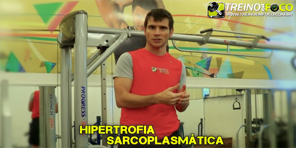 Hipertrofia Miofibrilar E Sarcoplasm Tica Cargas De Treino Treino Em