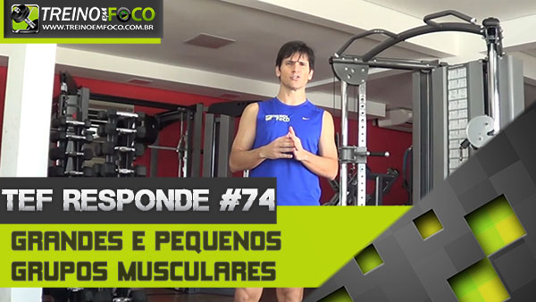 Grandes E Pequenos Grupos Musculares