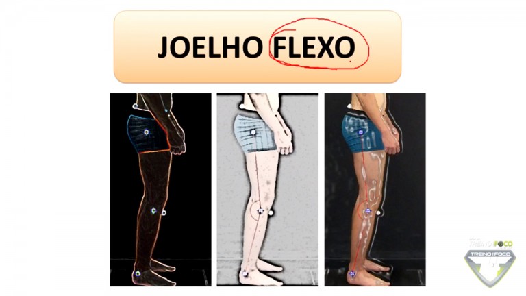 Joelho Flexo Como Avaliar A Biotogrametria