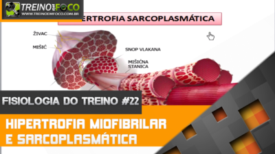 Hipertrofia Miofibrilar e Hipertrofia Sarcoplasmática