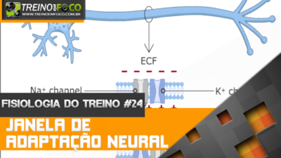 Janela de Adaptação Neural