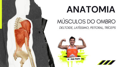 Articulacao_glenoumeral_do_ombro_musculos_-da_-Articulacao_-do_-Ombro