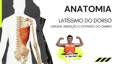 Latíssimo_do_dorso_grande_dorsal_anatomia_extensão_do_ombro