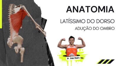 Latíssimo_do_dorso_anatomia_movimentos