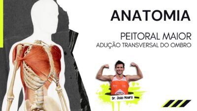 Peitoral_maior_articulação_do_ombro_treino_em_foco