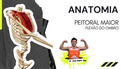 Peitoral_maior_flexão_do_ombro_extensão_anatomia_cinesiologia