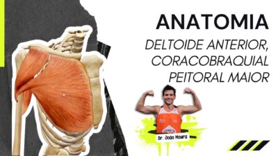 Flexores_do_ombro_deltoide_anterior_treino_em_foco