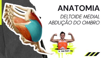 Deltoide_medial_anatomia_cinesiologia_treino_em_foco