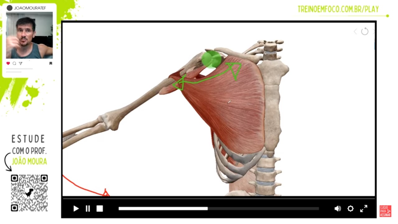 Adução_do_ombro_anatomia_cinesiologia_treino_em_foco