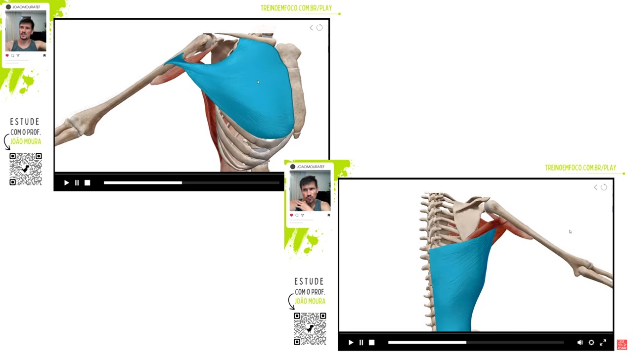 Adução_do_ombro_anatomia_cinesiologia_treino_em_foco