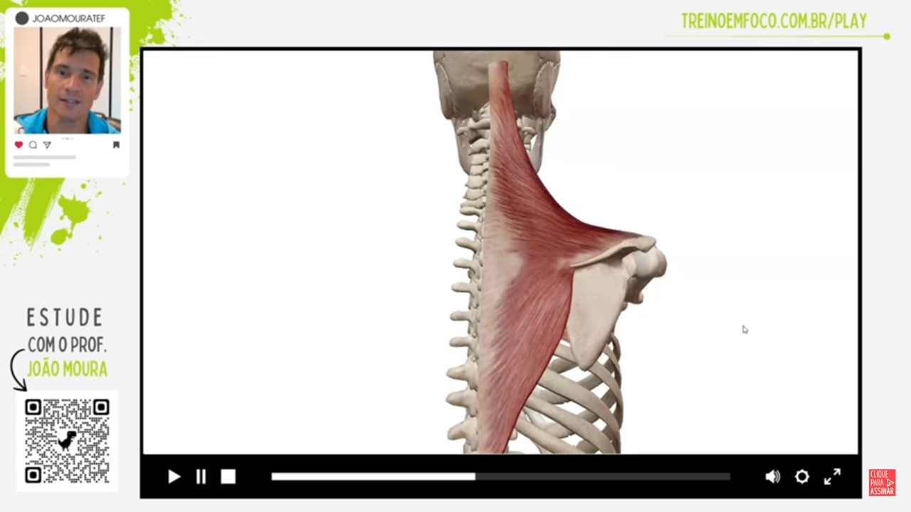 Treino_em_foco_adução_das_escápulas_retração_romboídes_trapézio