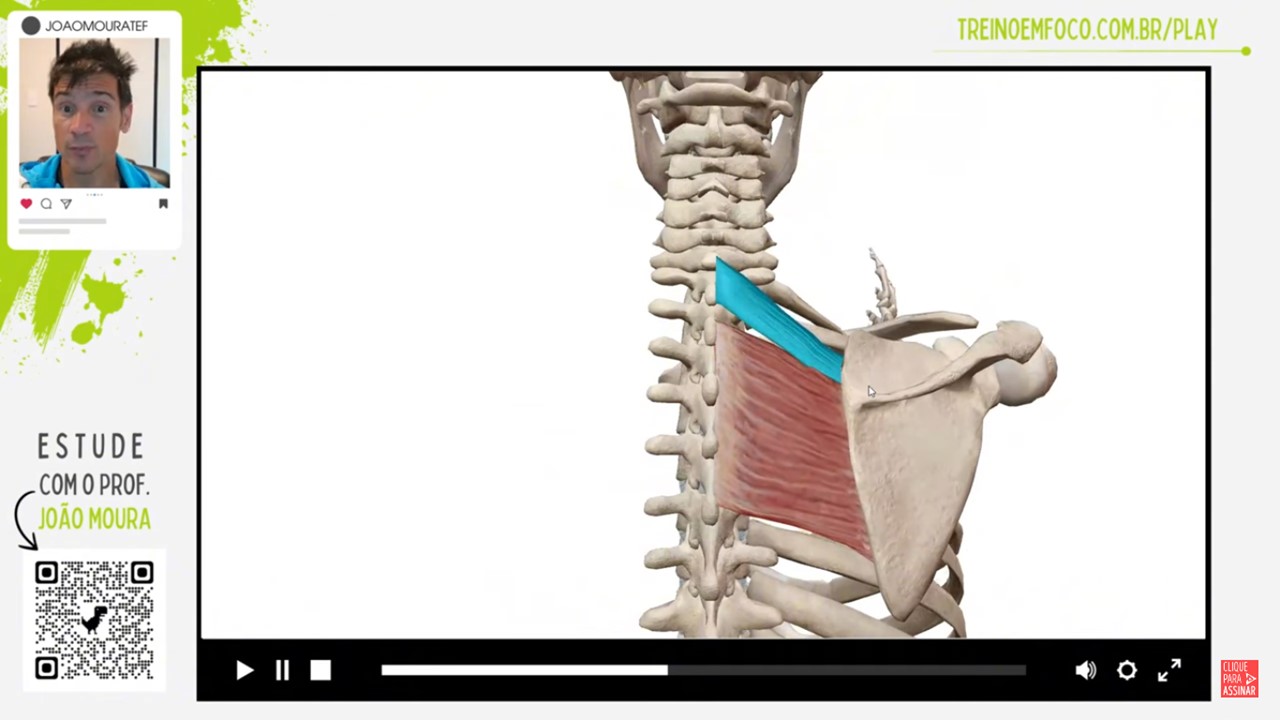 Treino_em_foco_adução_das_escápulas_retração_romboídes_trapézio